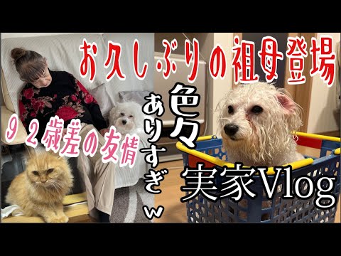 関根理紗: 【92歳差の友情】久々の祖母登場!実家帰省Vlog!!!〜ゆるっとスキンケア・猫まみれ・犬まみれ〜
