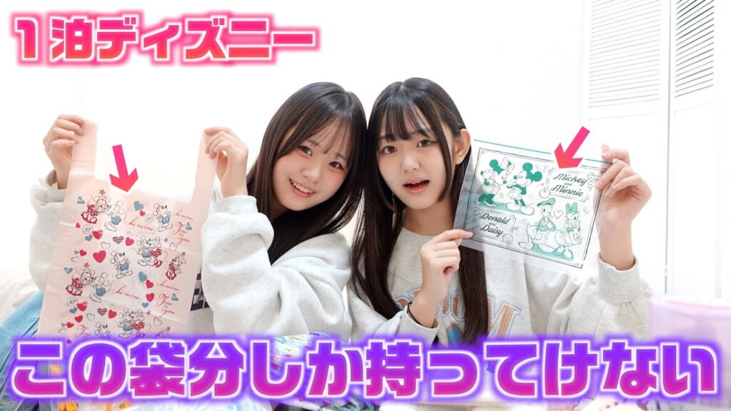 【パッキング】1泊ディズニーこの袋分だけしか持ってけません！