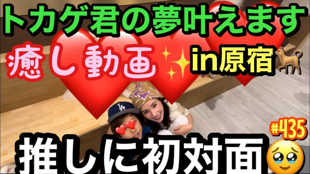 トカゲ君の推し活に付き合ったんだけど母もおこぼれ癒しもらいまくっちゃって白目むいちゃう🐕🥹🫶🏻ストレス社会にまじでこの癒しは必須だからみんなに遠隔癒しをお裾分け動画