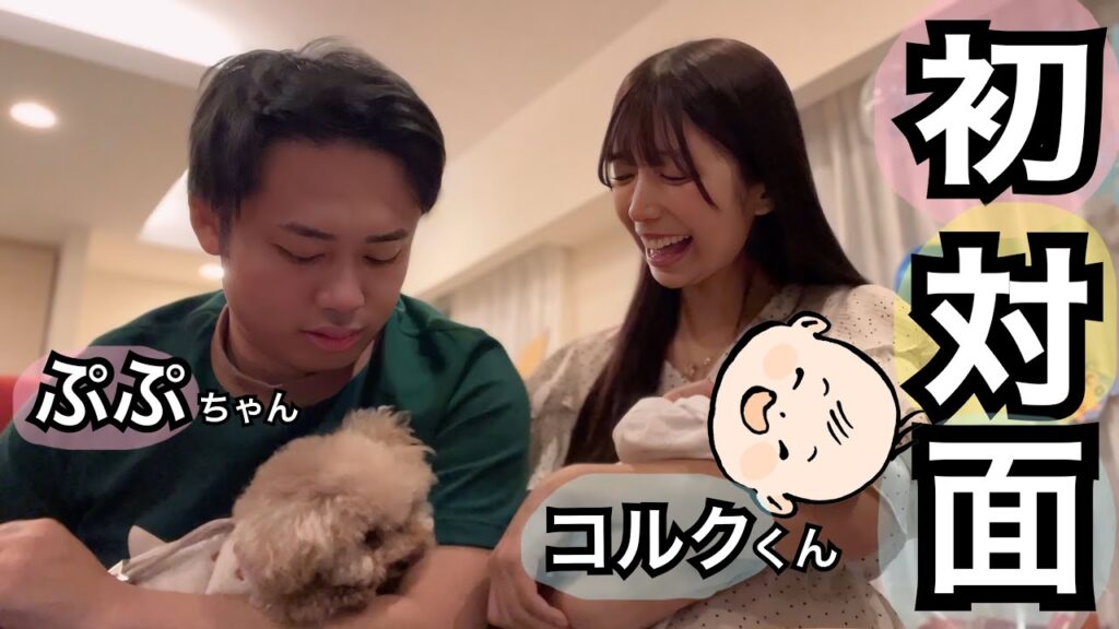 愛犬ぷぷが新生児コルクと初対面して、お姉ちゃんになった瞬間。