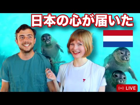 【日本初公開!?】スパチャ世界一のあざらし幼稚園の裏側に潜入!【日本語字幕あり】 【日本初公開!?】スパチャ世界一のあざらし幼稚園の裏側に潜入!【日本語字幕あり】