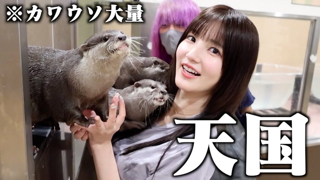 【癒し】ゼロ距離で触れ合えるカワウソカフェ行ってきたら天国すぎた