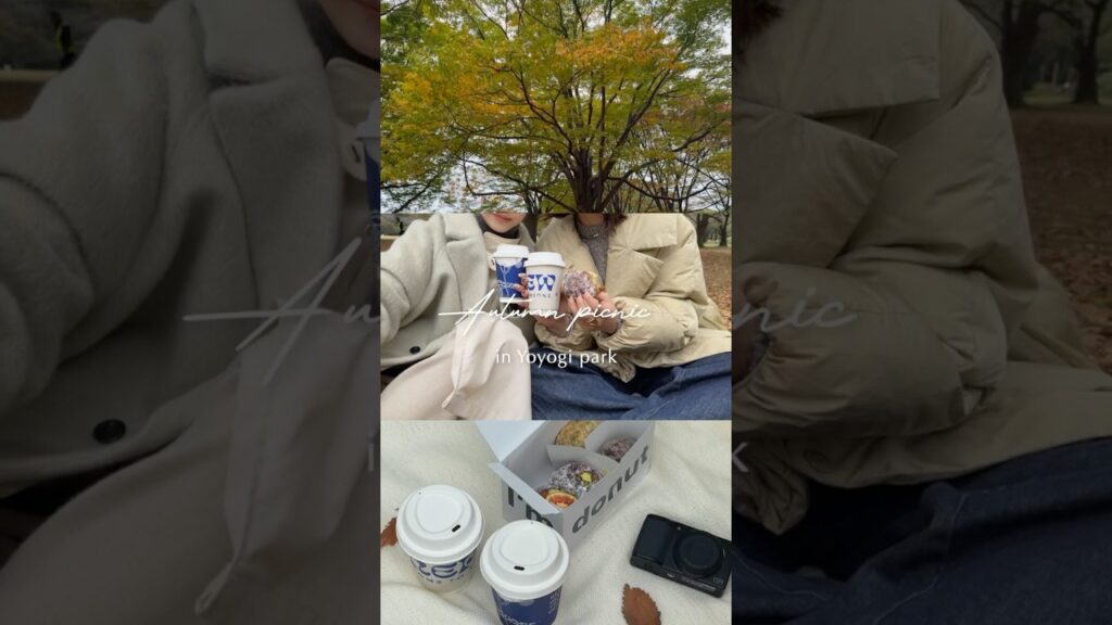 Autumn picnic vlog🍂⁡