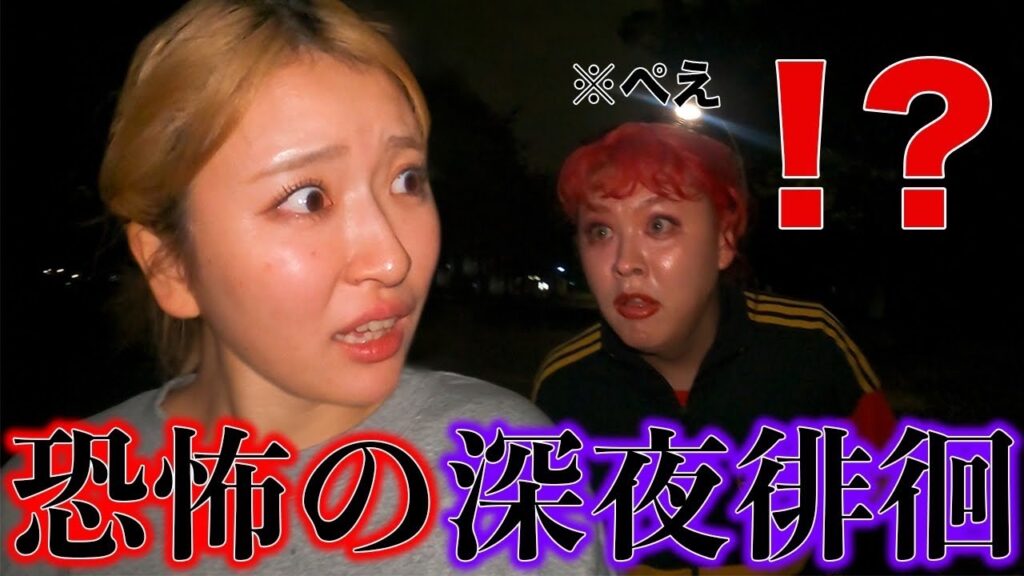 ぺえと散歩したら事件連発で大騒ぎwww