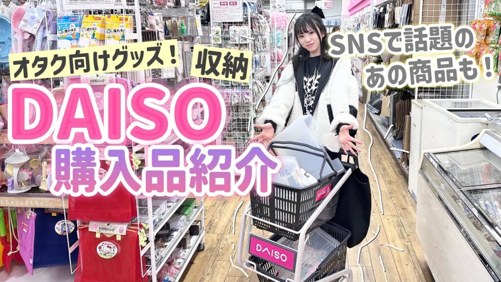 【DAISO購入品紹介】グッズ収納やSNSで話題のあの商品をたくさんが買ってきました🪽