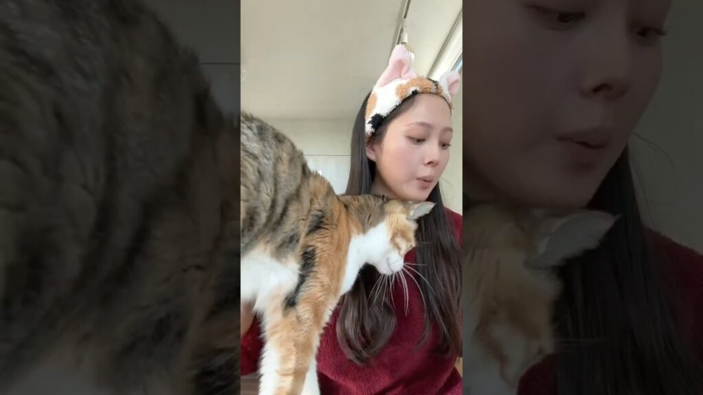 だいすきなみんなに会いにいく^꜆. ̫.꜀^