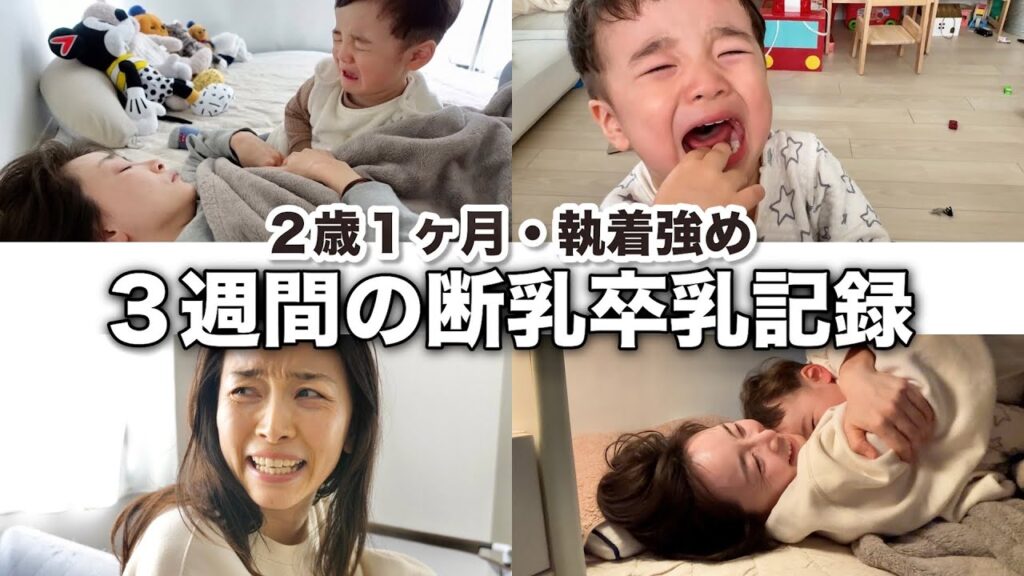 【2歳1ヶ月】我が家の断乳・卒乳記録 〜想像以上に時間がかかった母と子の３週間〜 【からし作戦】