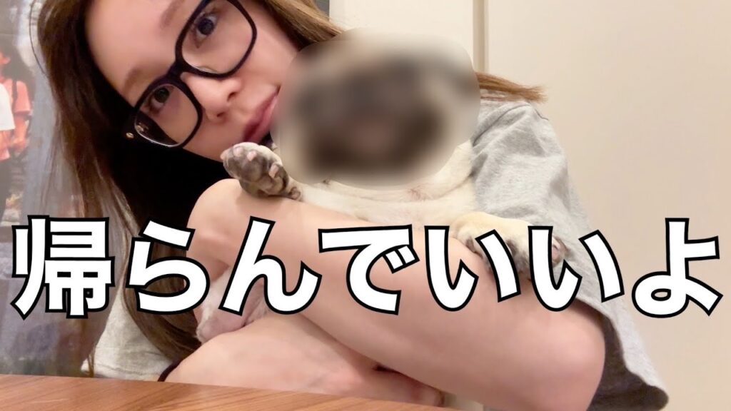 ようこそ、我が家へ