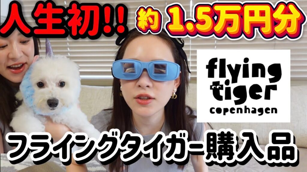 初フライングタイガー購入品で大興奮🔥🔥🔥🔥