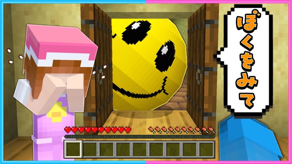 ボクをみて、キミをみてる🙂