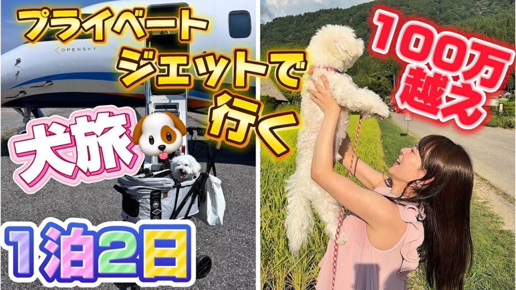 【プライベートジェットで行く】はなまさ癌から1年元気でありがとう癌寛解旅☺️🌱
