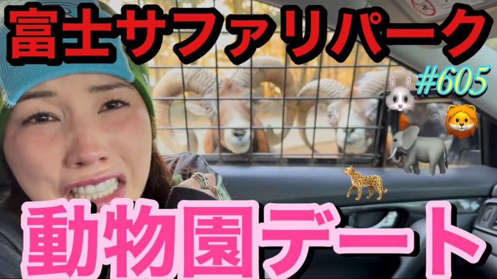 富士サファリパークで動物園デートしたけどまじで近すぎちゃってどうしようすぎてまじで興奮通り越して一瞬回って怯えてて草って感じでチーターの赤ちゃんがいて激レアパークだった