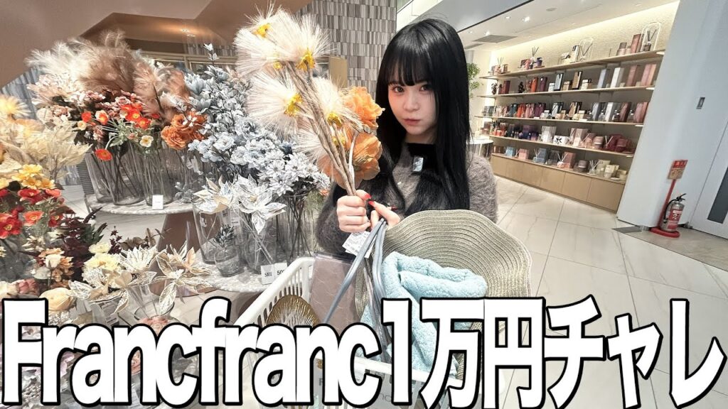 【1万円】ぴったりチャレンジをFrancfrancでやったらとんでもないことになったw