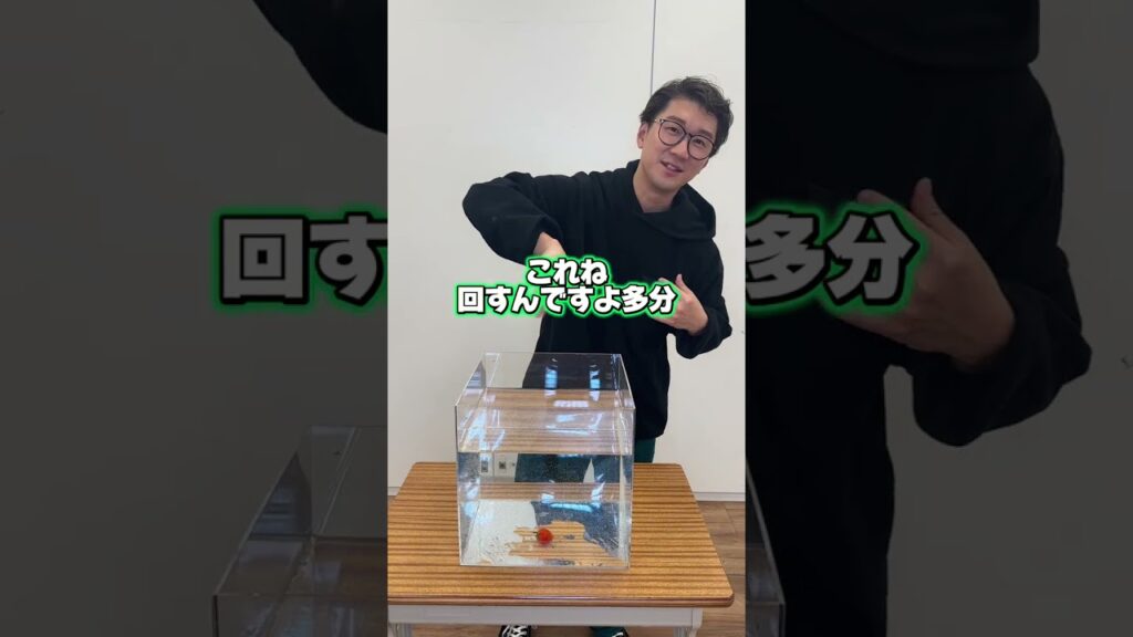 これ掴める？　#shorts