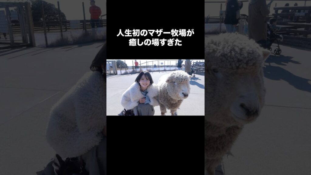 人生初のマザー牧場が癒しすぎた【原神イベント】