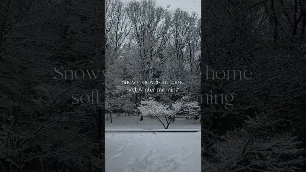 自分の家がすぎる。 #マリリン #asmr #茨城県