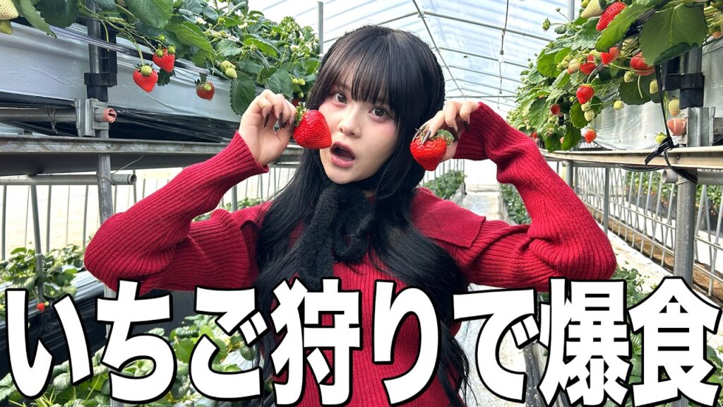 【限界食い】ハウス貸切っていちご狩り! 【限界食い】ハウス貸切っていちご狩り!
