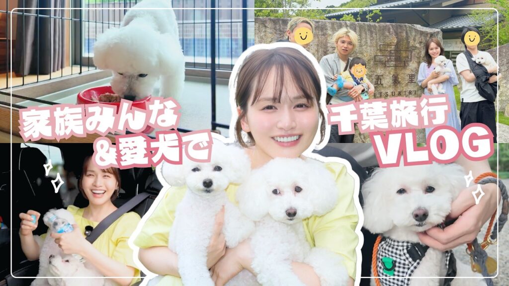 【眼福】家族全員&愛犬で千葉VLOG🚗子供が産まれてから減っていた、愛犬との時間を一番に楽しむ旅! 【眼福】家族全員&愛犬で千葉VLOG🚗子供が産まれてから減っていた、愛犬との時間を一番に楽しむ旅!